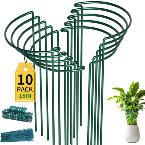 TCBWFY soporte frontal del pack mostrando tamaño y cantidad, mantiene plantas erguidas