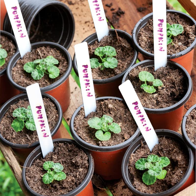 TDHDIKE etiquetas incluidas organizando variedades y fechas en mesa de cultivo