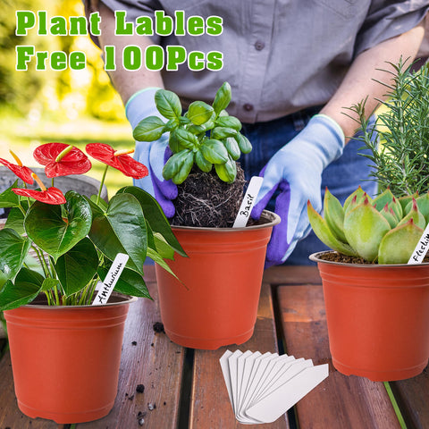 TDHDIKE maceta con suculenta plantada, ideal para iniciar plántulas