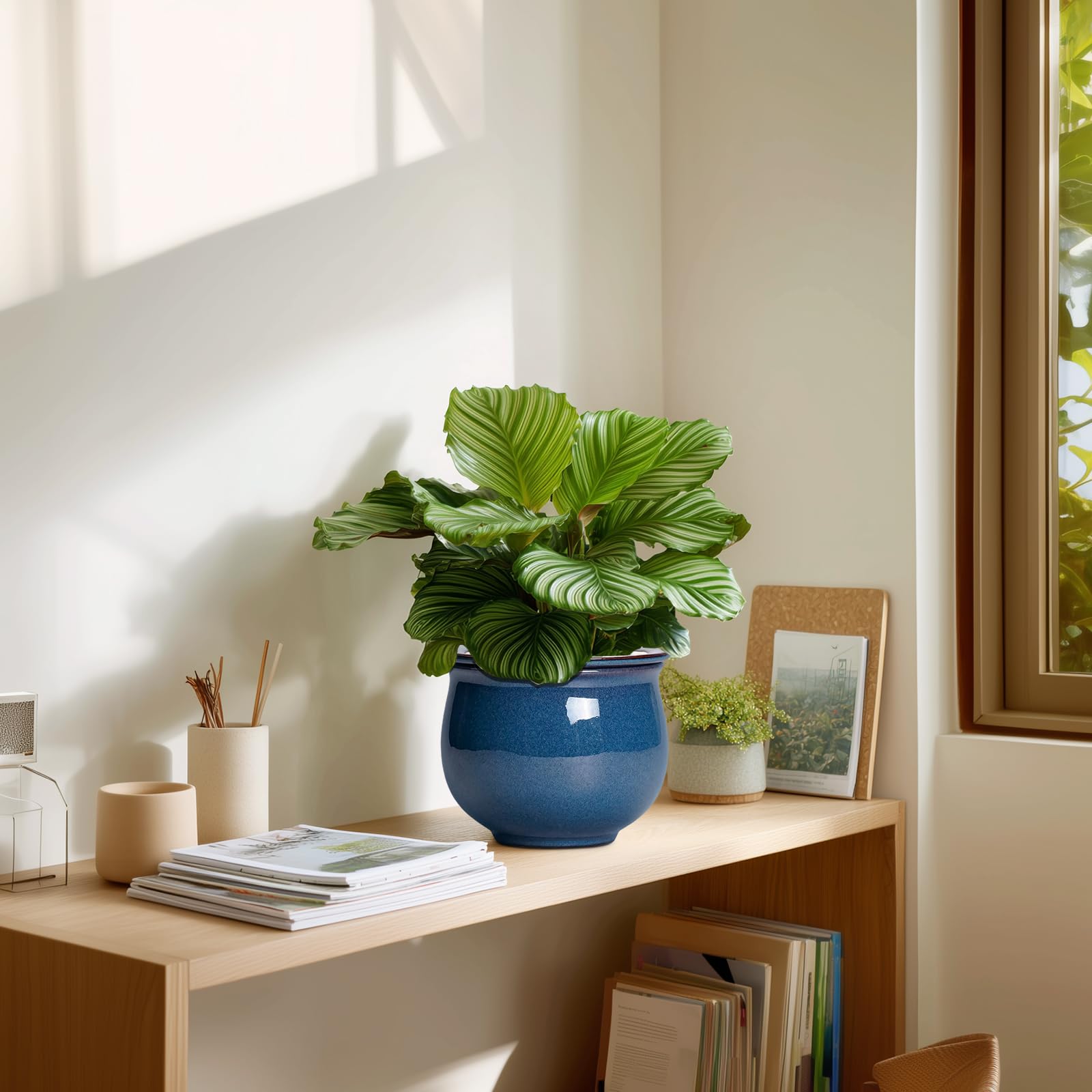 Teagas maceta envuelta como regalo ideal para amantes de las plantas