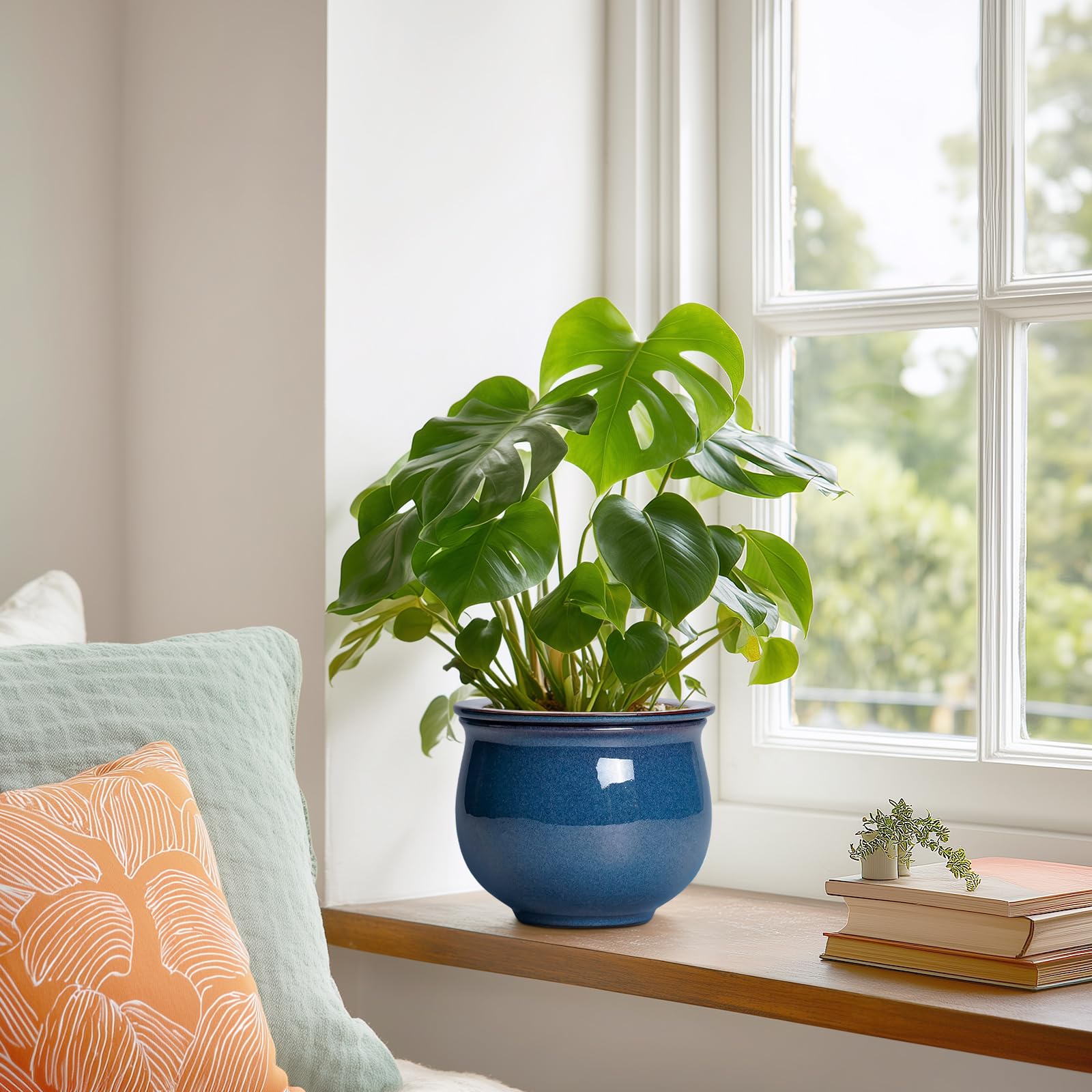 Teagas maceta colocada en ventana mostrando cómo decora y conserva plantas