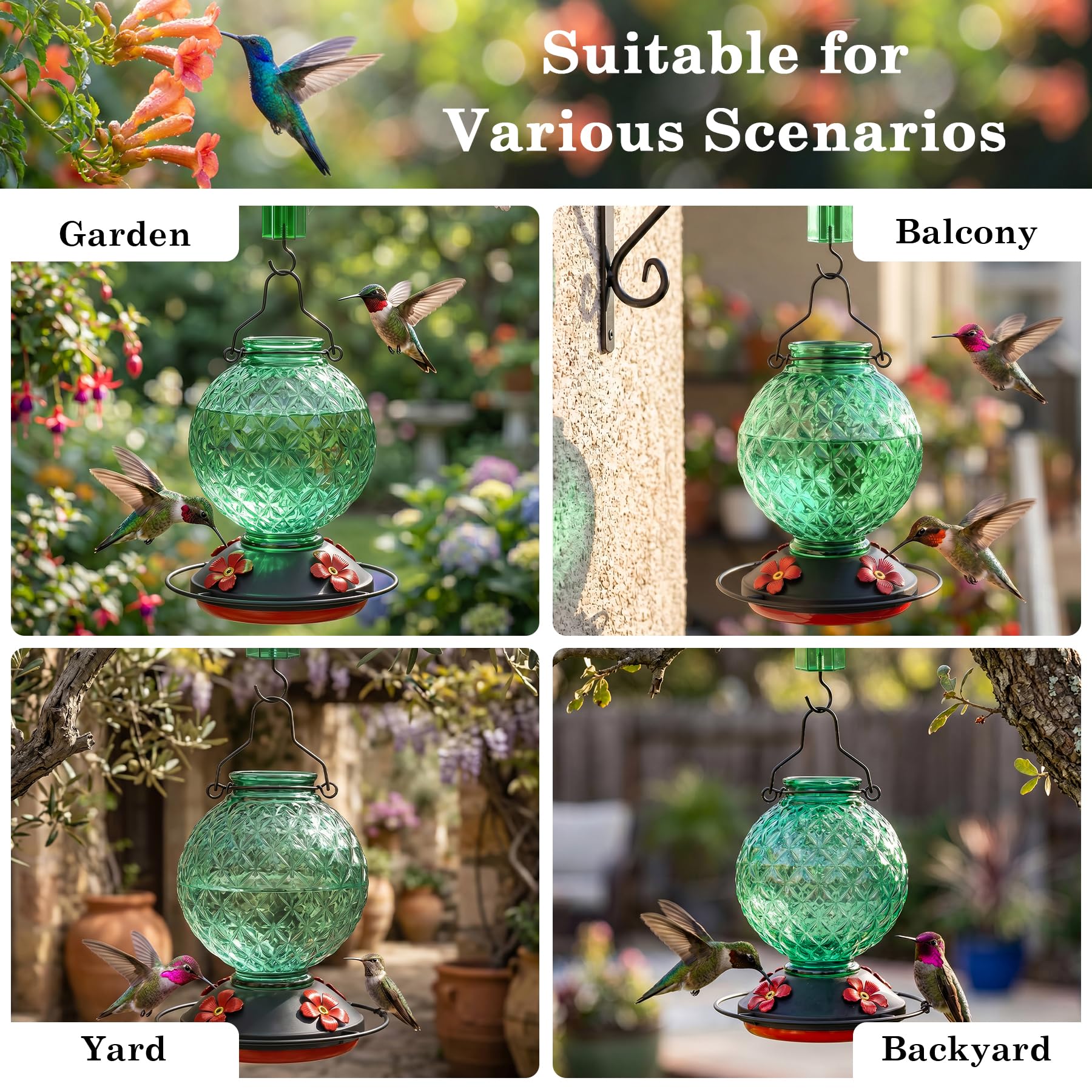 Tegarbed percha circular con colibríes posados, fomenta acceso múltiple