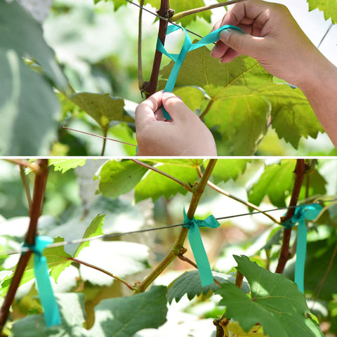 TELENT OUTDOORS cinta sujetando planta a tutor beneficio soporte seguro
