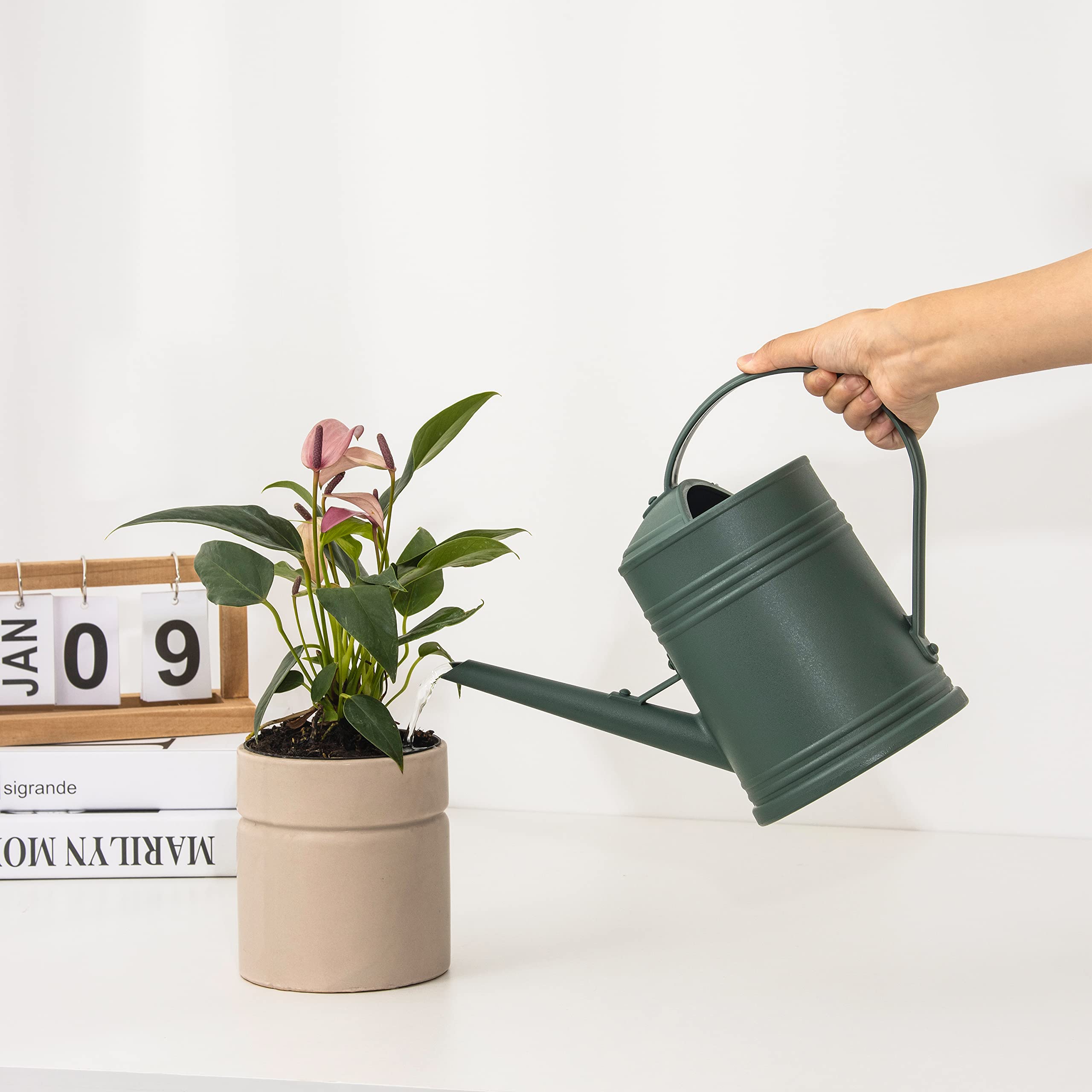 Tennedriv Green regadera junto a macetas para mostrar la capacidad y escala