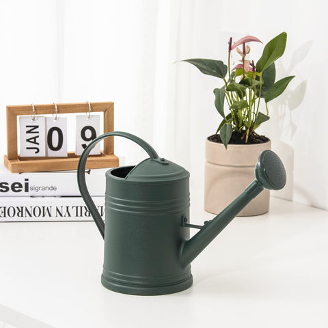 Tennedriv Green en uso regando plantas de salón, riego delicado y controlado