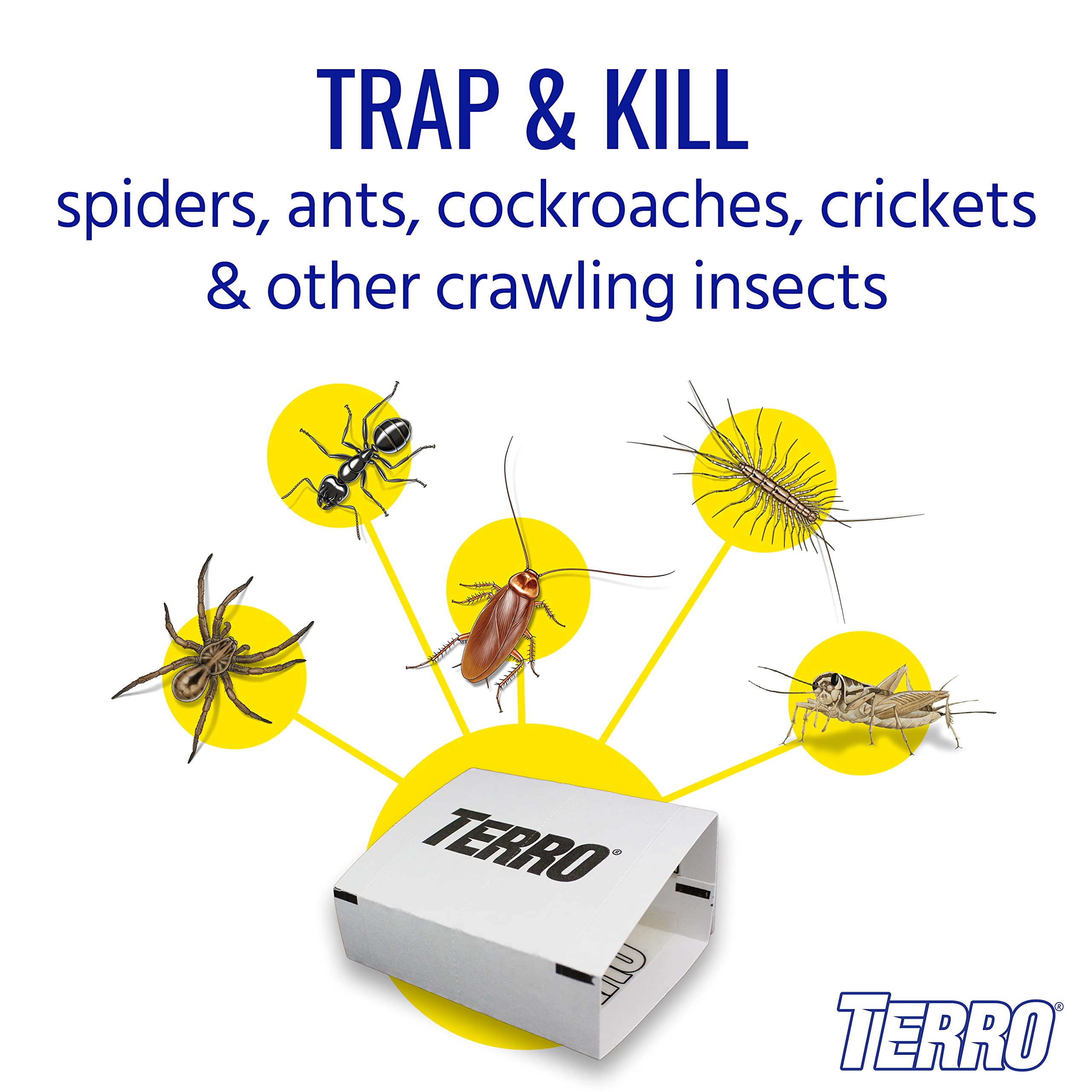 Terro detalle de la superficie adhesiva atrapando insectos, máxima adherencia visible