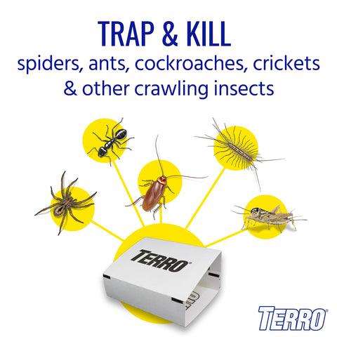 Terro detalle de la superficie adhesiva atrapando insectos, máxima adherencia visible