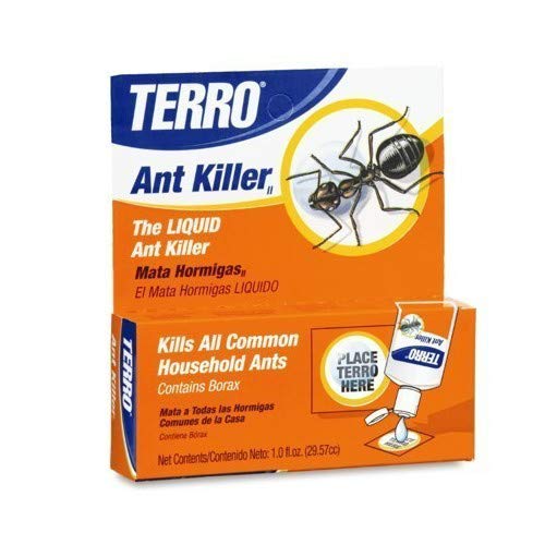 Terro cebo colocado en cocina bloqueando ruta de hormigas y facilitando control