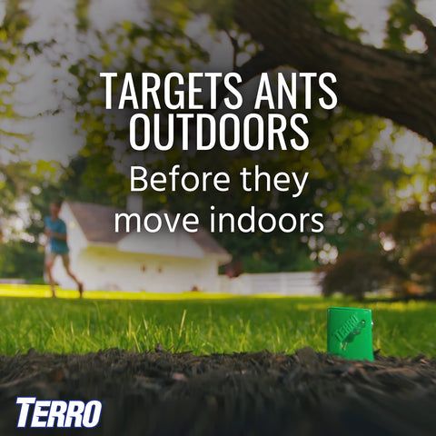 Terro monitor transparente con cebo visible para comprobar consumo
