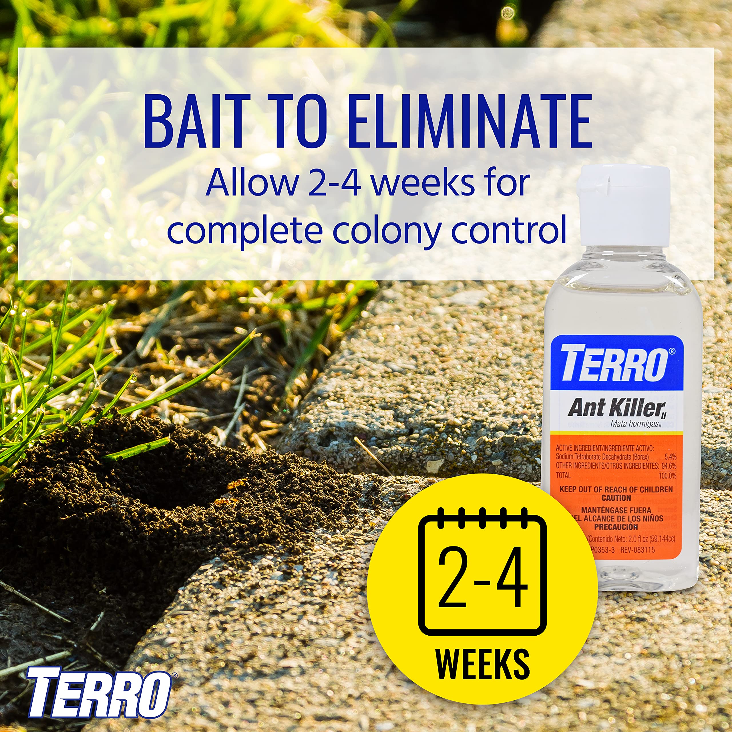 Terro primer plano del líquido en la baldosa destacando su atracción para hormigas