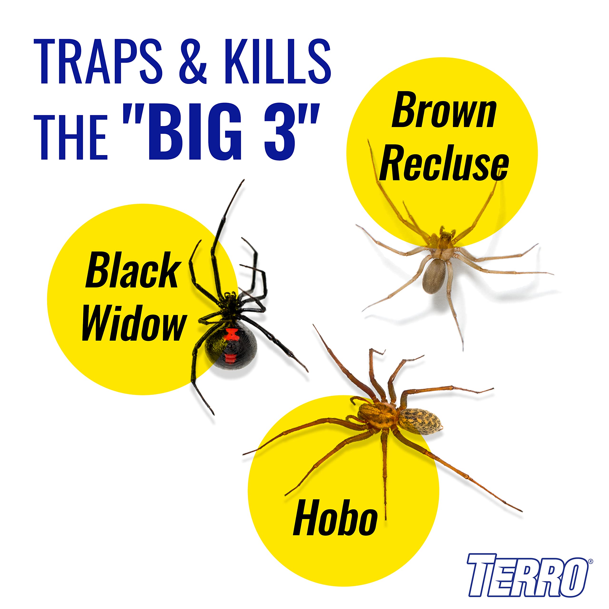 Terro trampa plegada ocultando insectos, protege a niños y mascotas