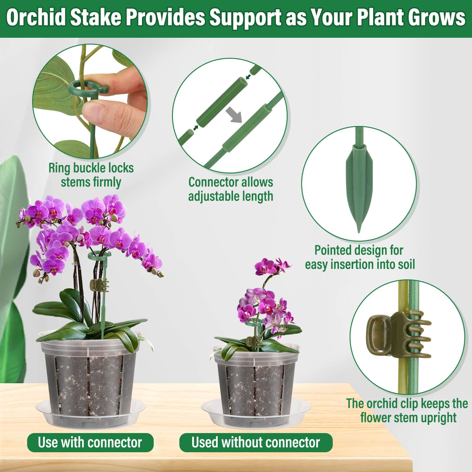 Tetutor maceta con orquídea en uso que facilita riego y observación de raíces