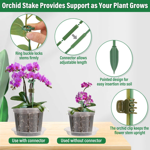 Tetutor maceta con orquídea en uso que facilita riego y observación de raíces
