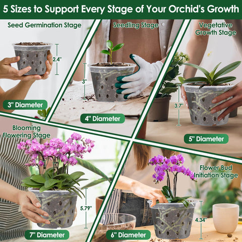 Tetutor maceta en uso con estacas y clips para soporte estable de orquídeas