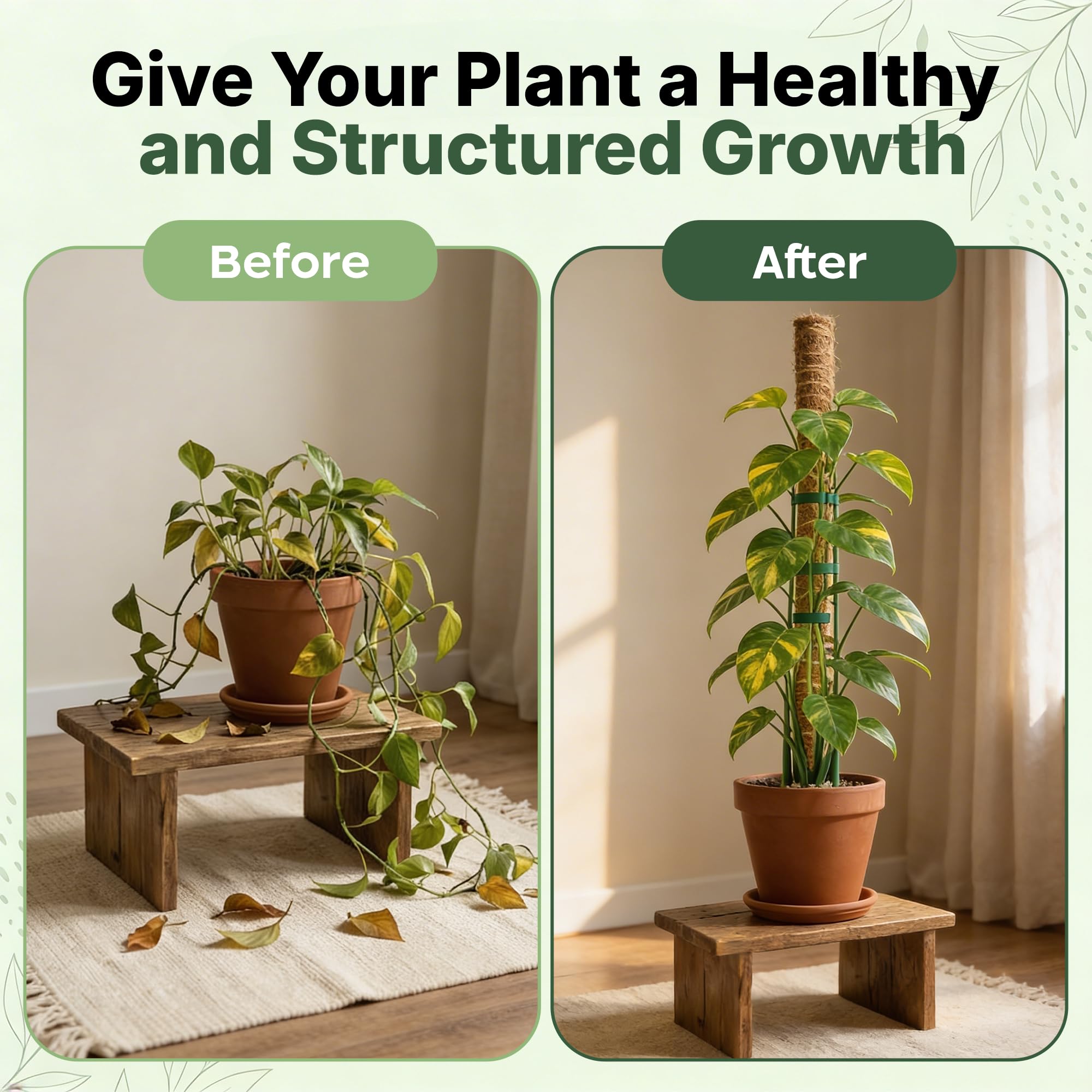 The Blooming Jungle poste en maceta con Monstera elevando crecimiento vertical