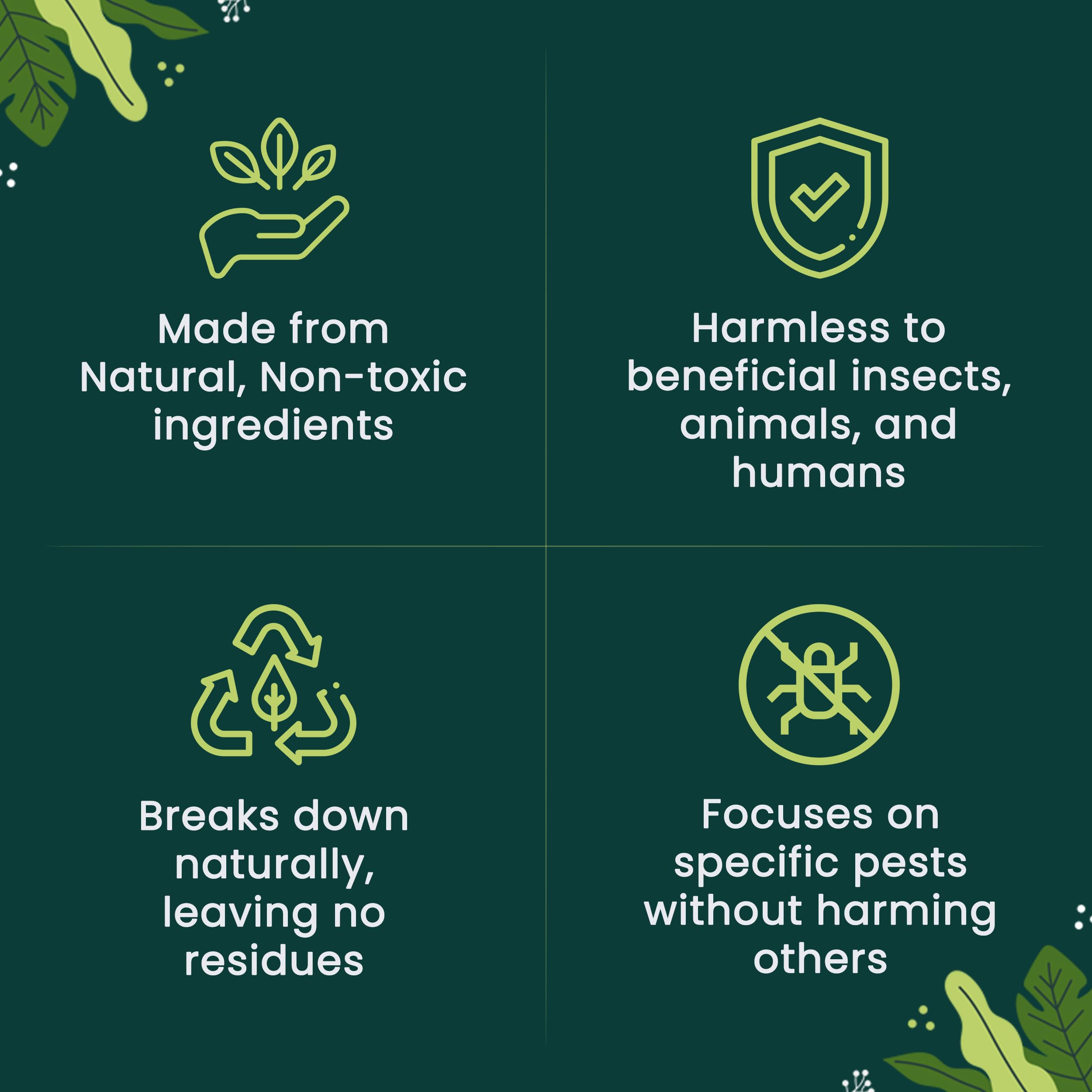 The Environmental Factor granulado junto a moneda para comparar tamaño y dosificación