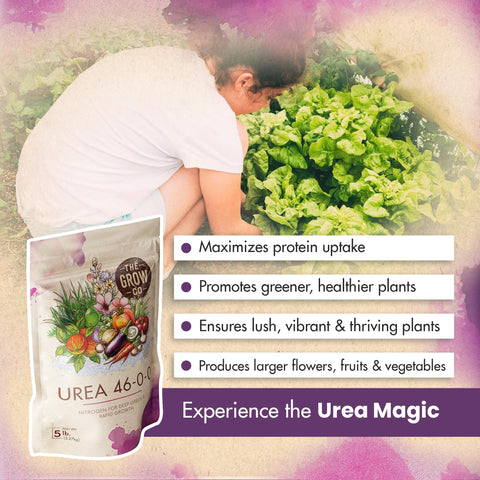 The Grow Co fertilizante al lado de maceta aplicando cerca de la línea de goteo