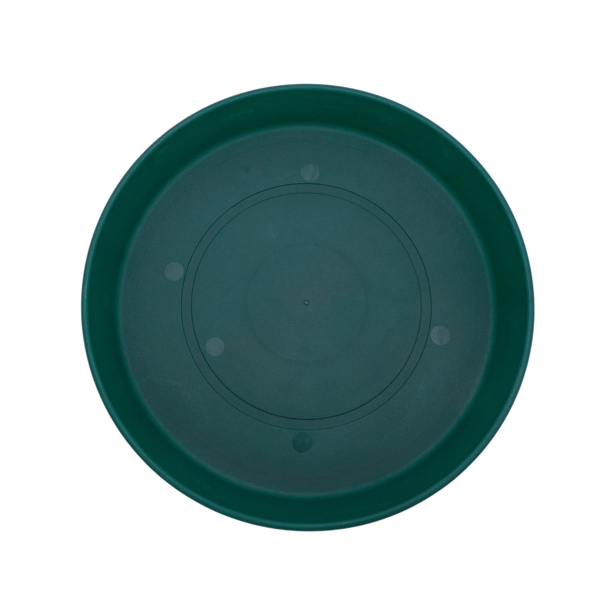 The HC Companies plato frontal 12" evergreen mostrando protección de superficie