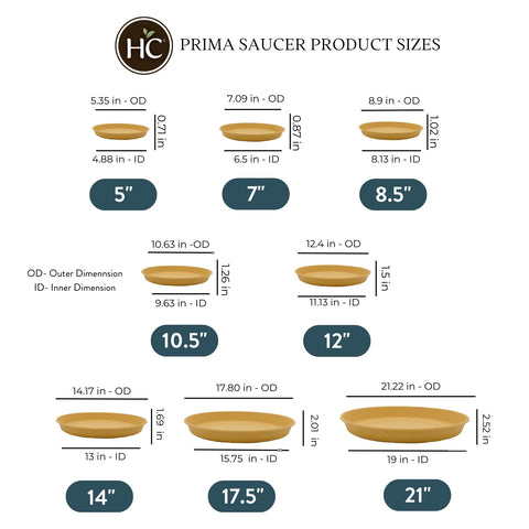 The HC Companies plato con maceta en uso reteniendo agua y evitando manchas