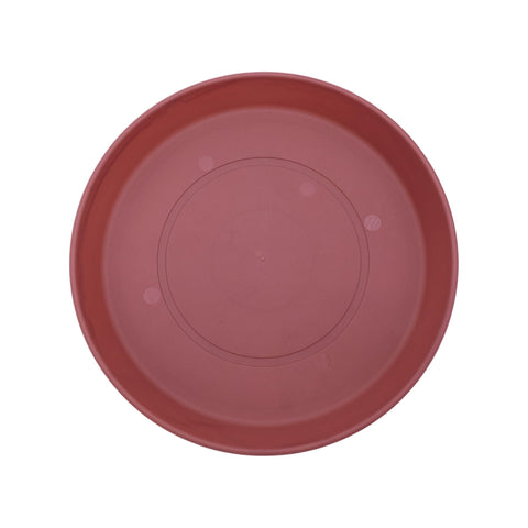 The HC Companies plato Prima frontal marsala mostrando forma y borde, protege superficies
