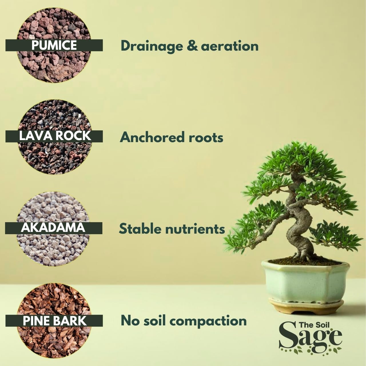 The Soil Sage mezcla en maceta con bonsái activo apoyando crecimiento sano