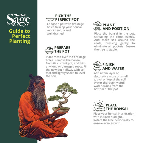 The Soil Sage raíces saludables en sustrato que promueve aireación