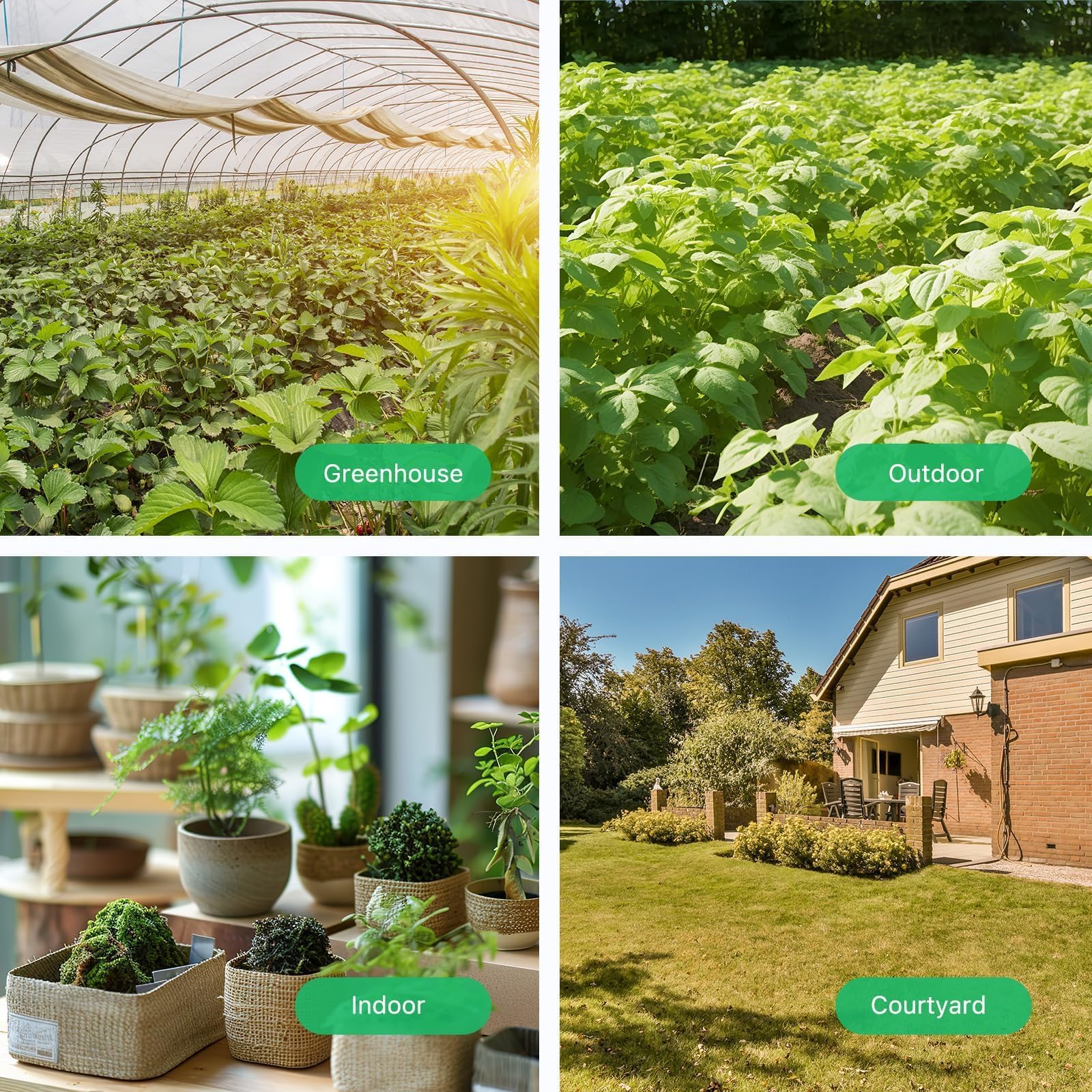 THIRDREALITY sensor en invernadero para control estable de cultivos