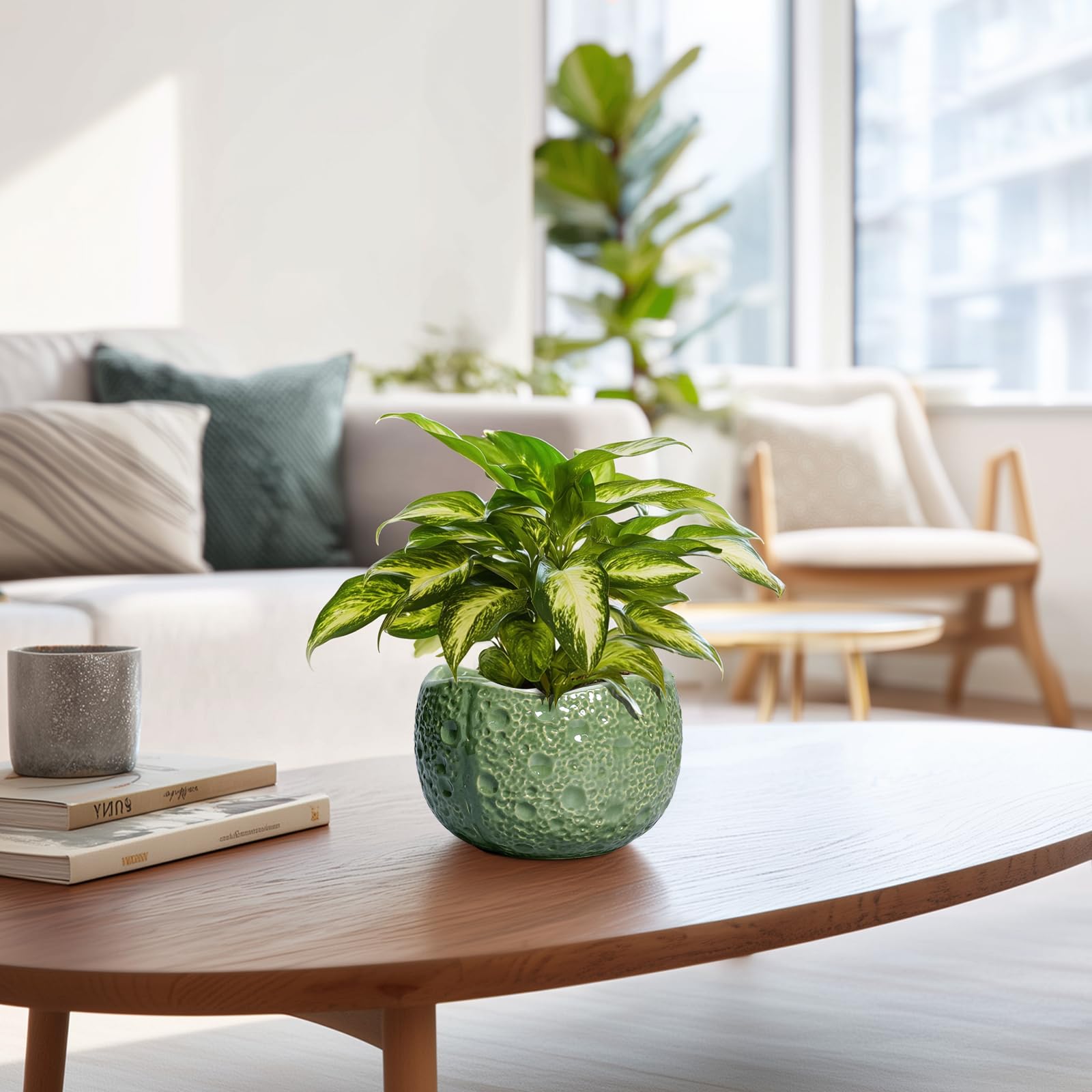 Thirtypot maceta junto a objeto para comparar tamaño práctico