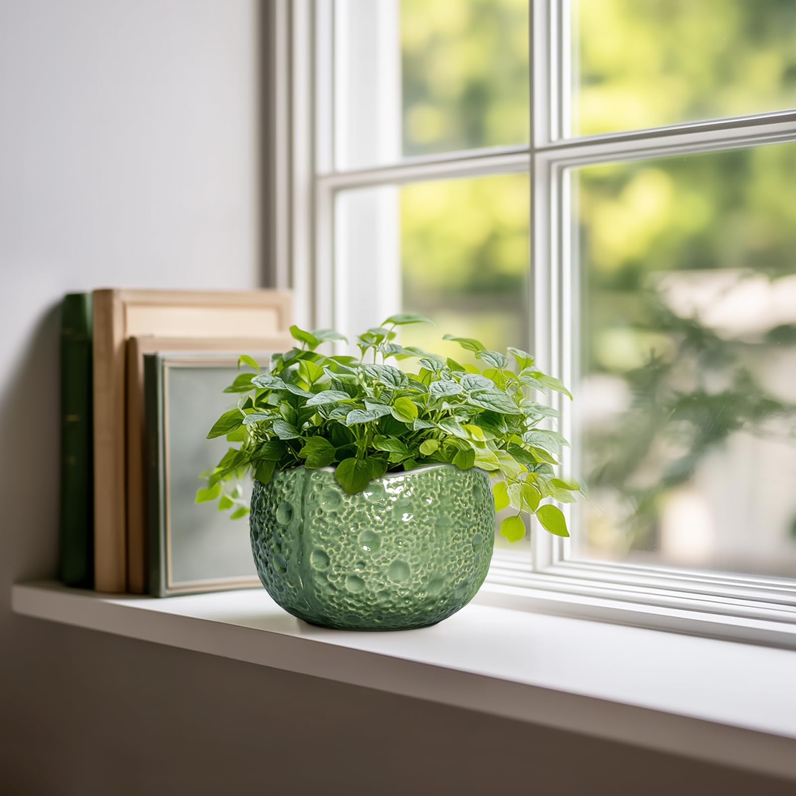 Thirtypot orificio de drenaje visible para salud de raíces