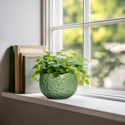 Thirtypot orificio de drenaje visible para salud de raíces