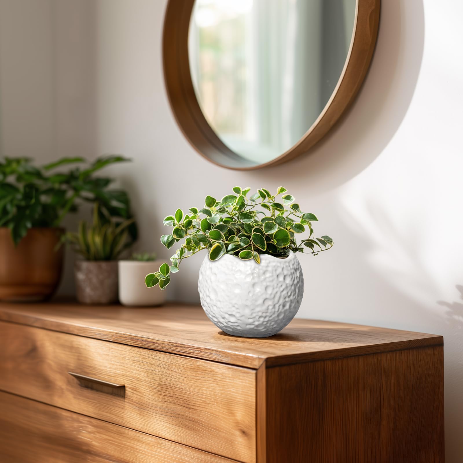 Thirtypot maceta en salón junto a libros aporta estilo minimalista y frescura