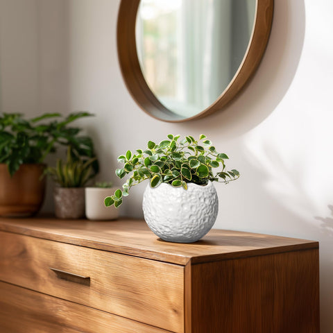 Thirtypot maceta en salón junto a libros aporta estilo minimalista y frescura