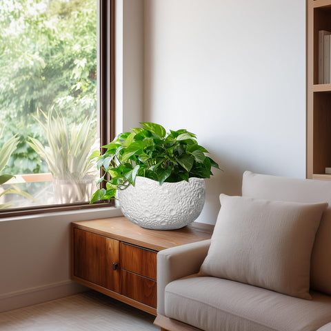 Thirtypot primer plano etiqueta y acabado cerámico resistente