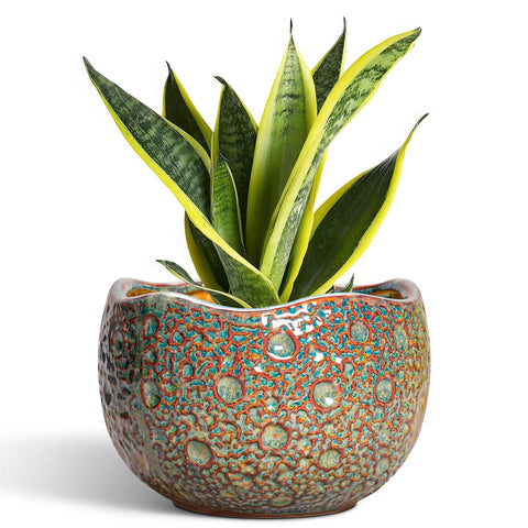 Thirtypot vista frontal de la maceta moteada marrón, elegante decoración