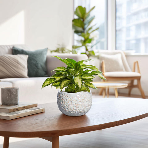 Thirtypot en mesa de salón, combina con decoración nórdica y moderna