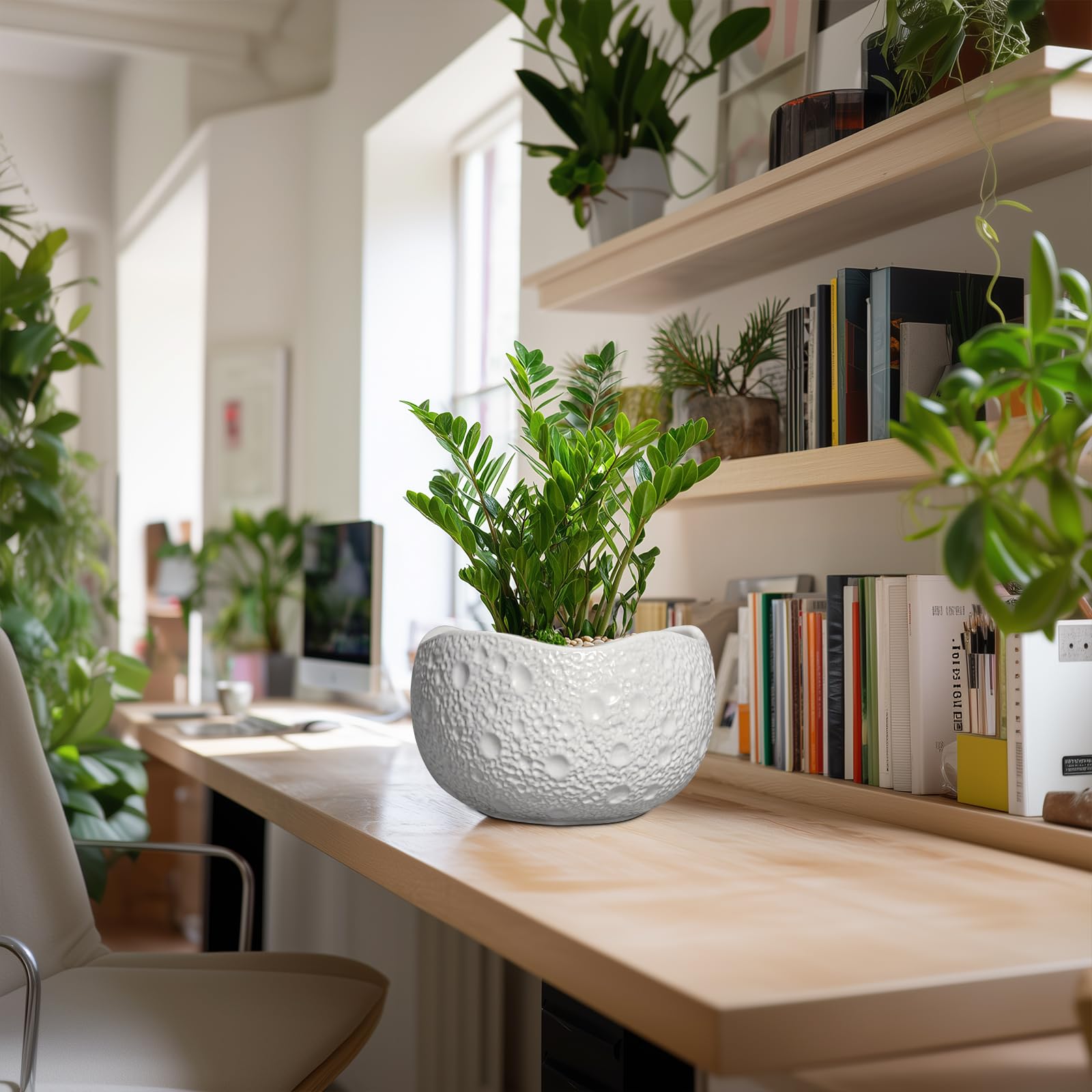 Thirtypot maceta en uso con planta mostrando apariencia final