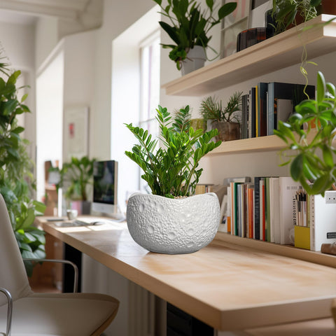 Thirtypot maceta en uso con planta mostrando apariencia final
