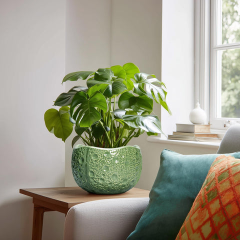 Thirtypot maceta con planta en uso que mejora la decoración interior