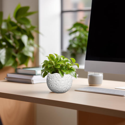Thirtypot maceta con suculenta sobre escritorio mejora decoración y ahorro de espacio