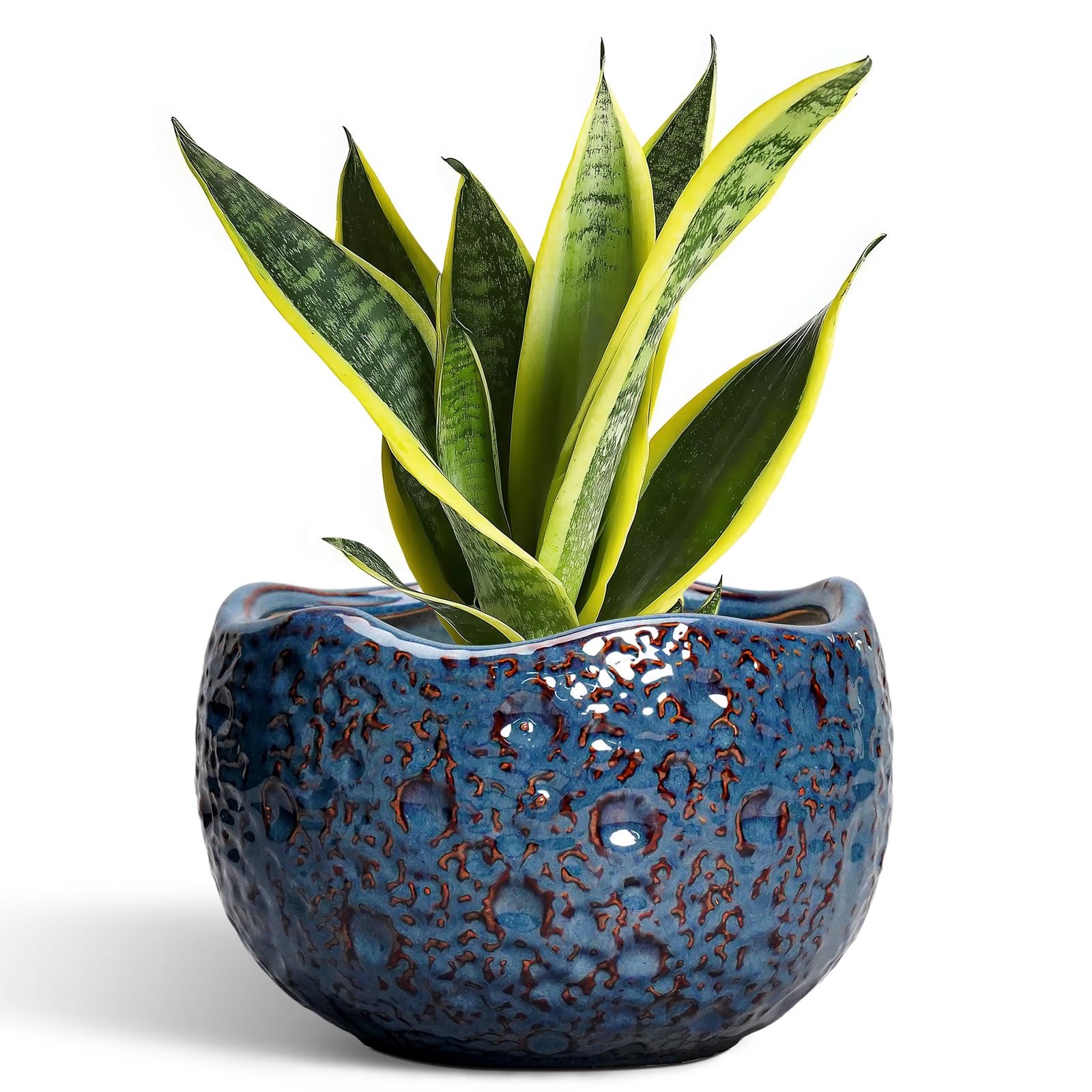 Thirtypot maceta frontal azul retro mostrando forma y color beneficios estéticos