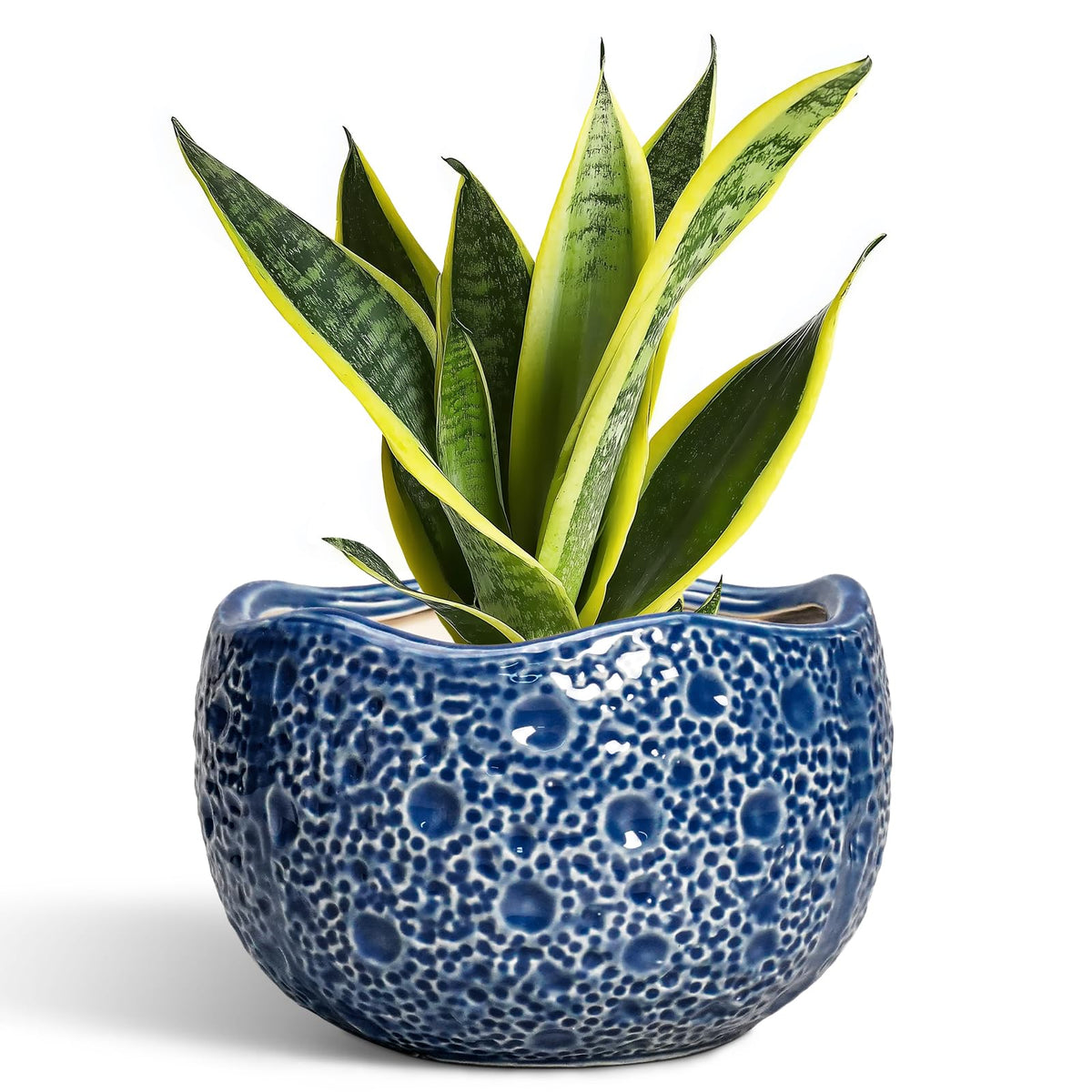 Thirtypot maceta frontal azul mostrando forma moderna y atractivo