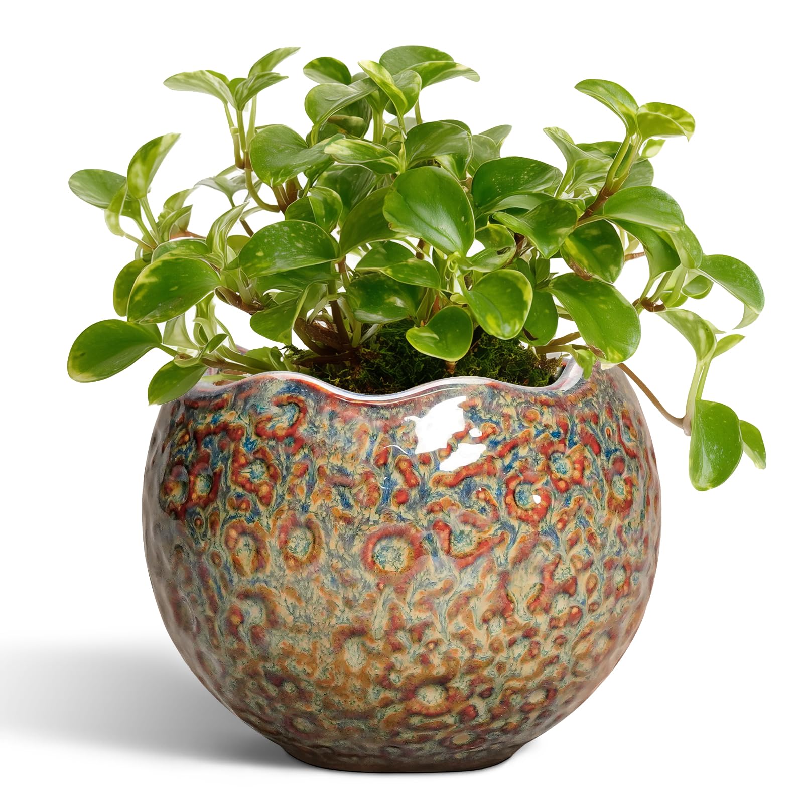 Thirtypot vista frontal de la maceta cerámica con acabado speckled-brown y diseño atractivo