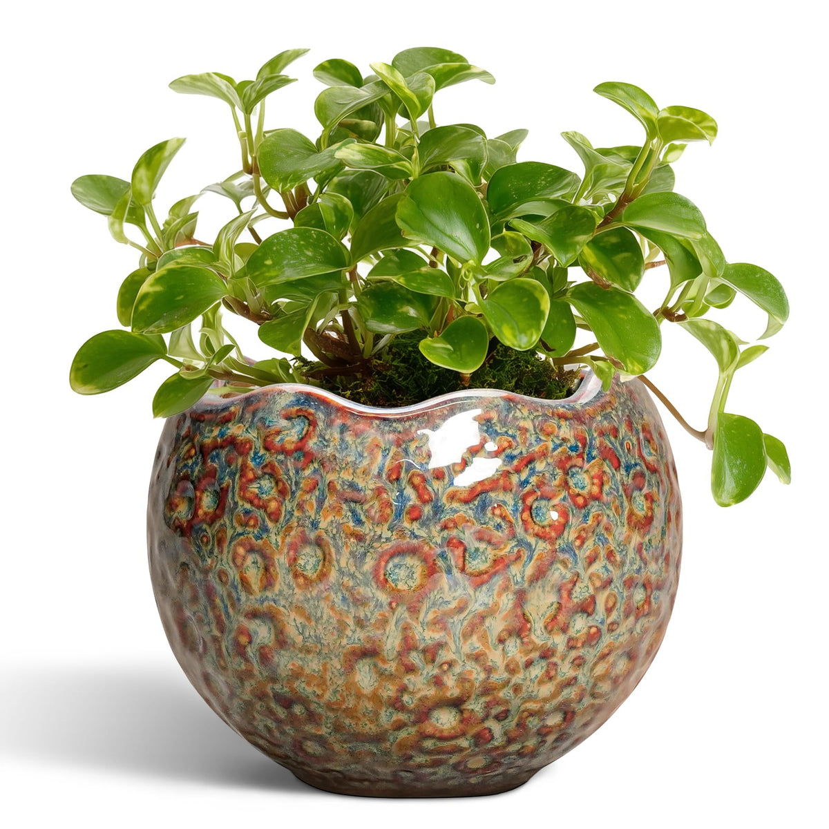 Thirtypot vista frontal de la maceta cerámica con acabado speckled-brown y diseño atractivo