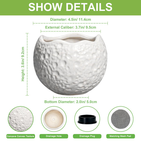 Thirtypot primer plano de textura cóncava con relieve lunar aporta interés decorativo