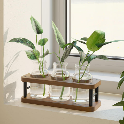 THYGIFTREE frasco con raíces visibles y nivel de agua controlado