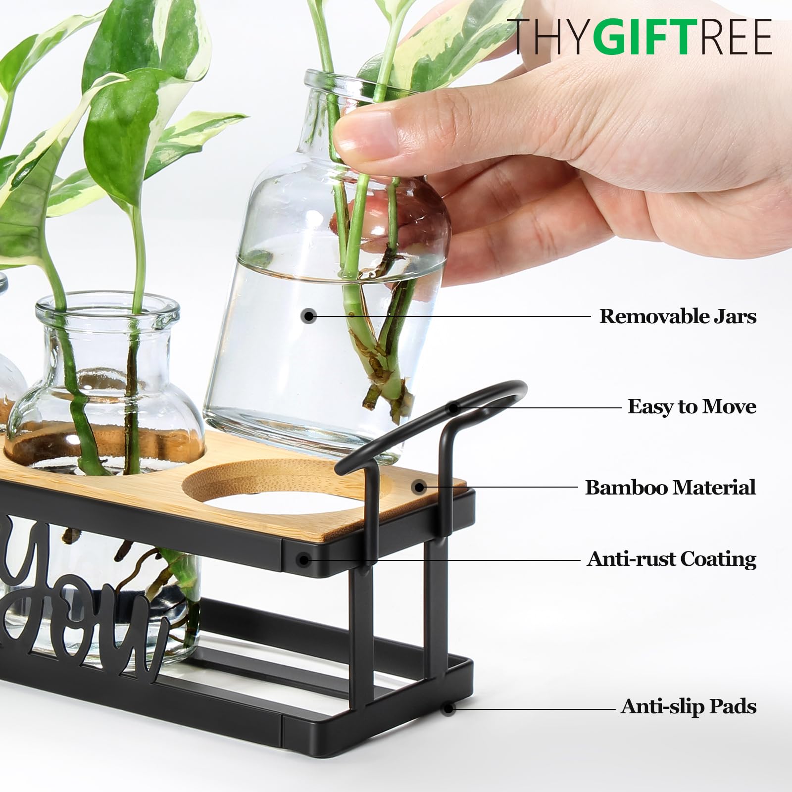 THYGIFTREE frascos de vidrio transparentes para ver raíces y salud