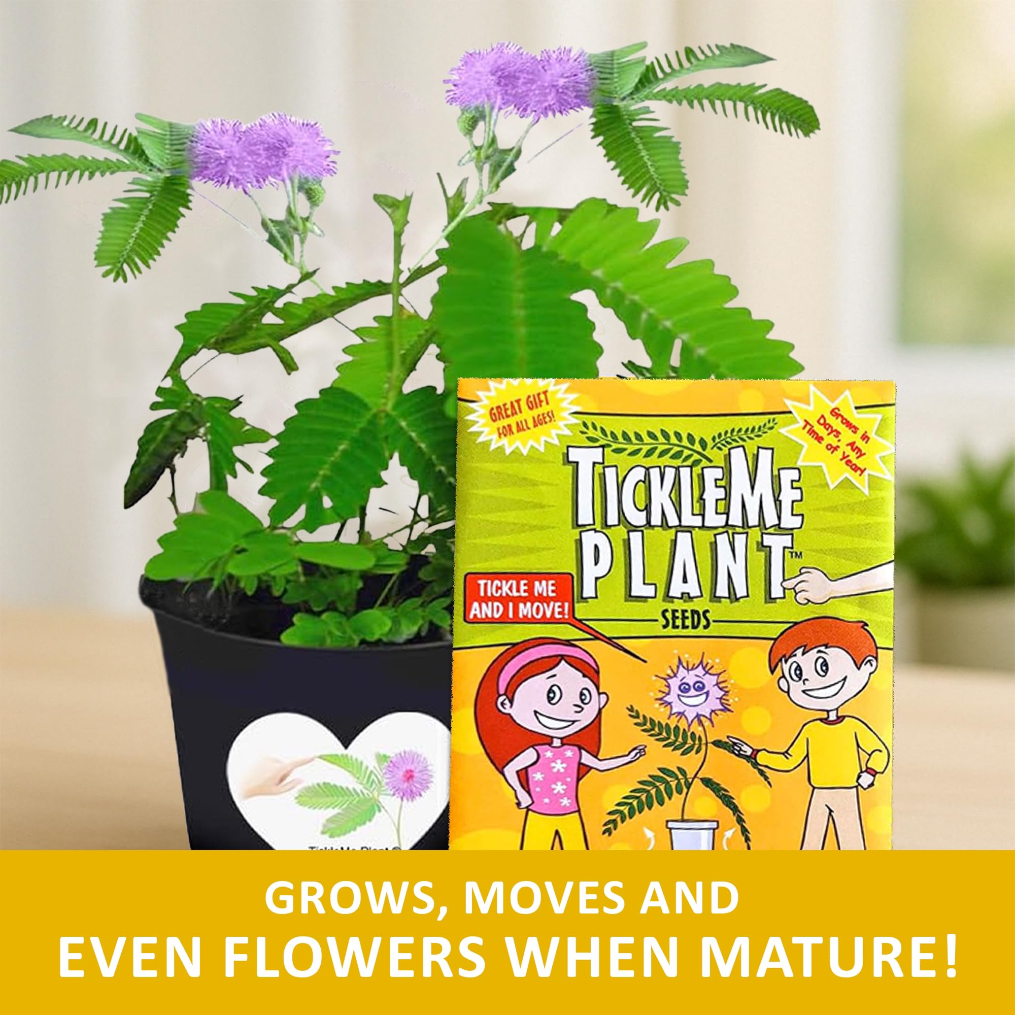 TickleMe Plant en maceta sobre mesa aportando decoración interior