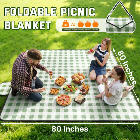 TigeJoy manta desplegada en picnic con personas usando confort y espacio amplio