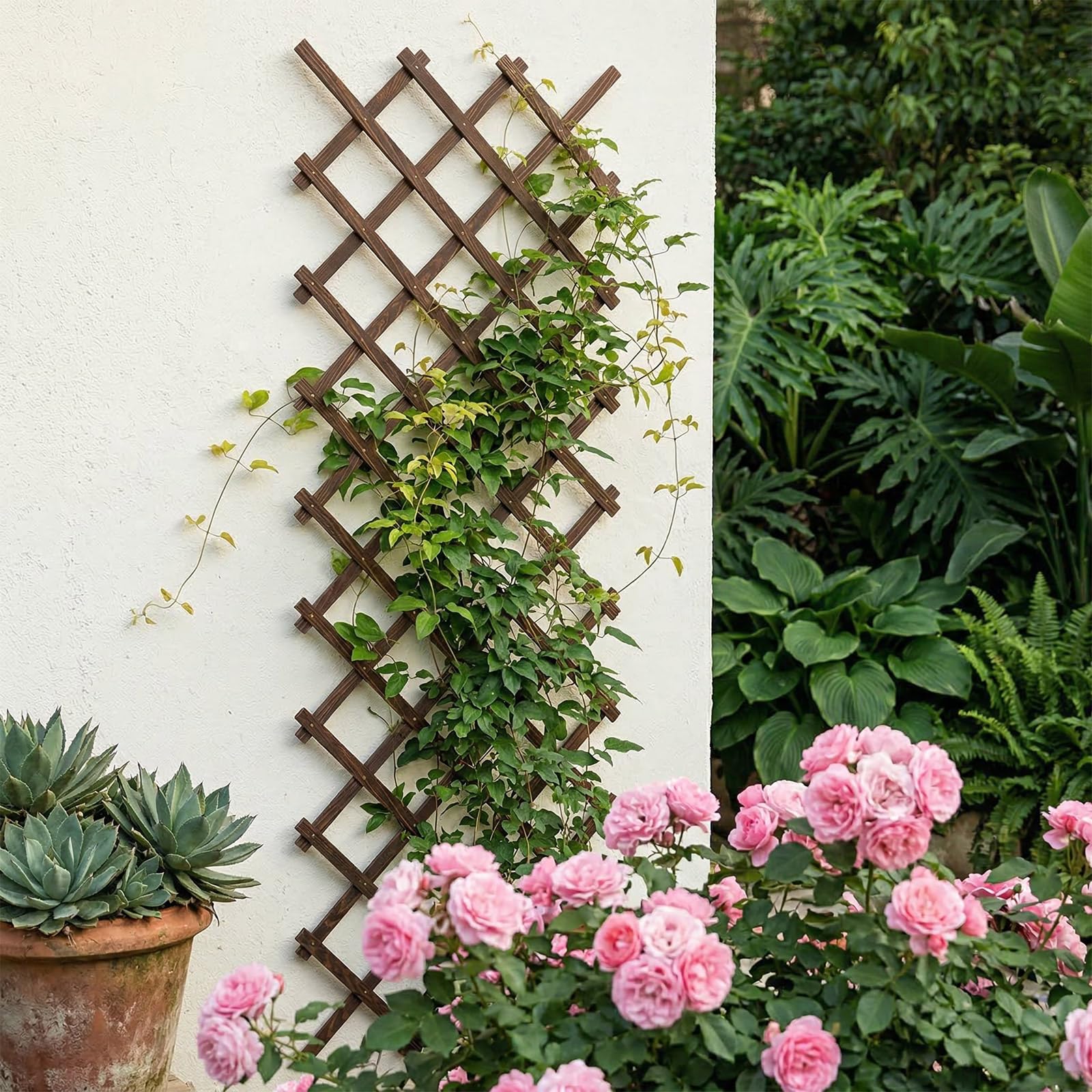 Tilinyan & one panel fijado a muro ofreciendo soporte estable para plantas