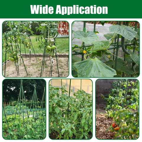 TINGYUAN estacas en uso sujetando plantas de tomate con firmeza